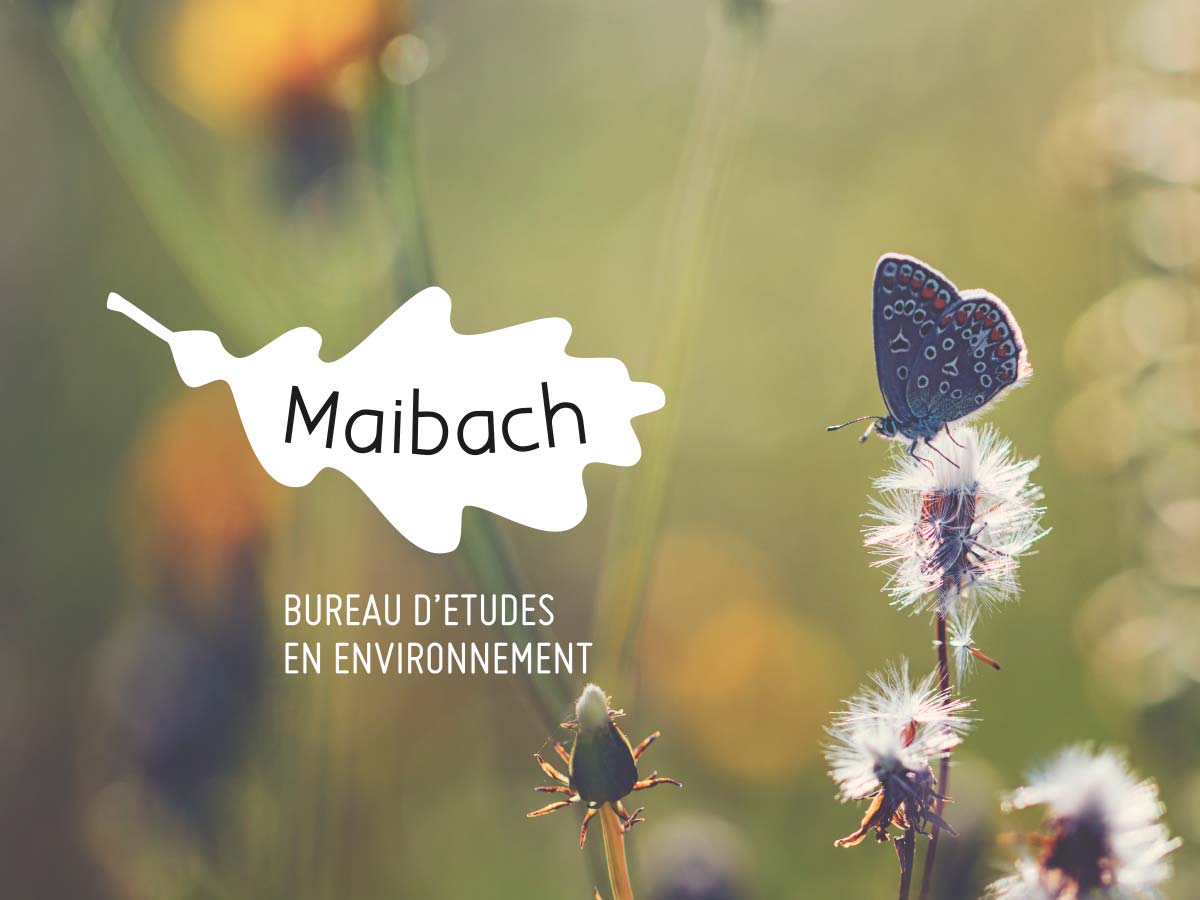 Refonte du logo du bureau d’études en environnement A. Maibach Sàrl à Oron-la-Ville